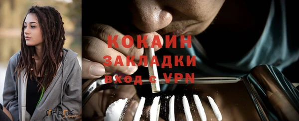 индика Баксан