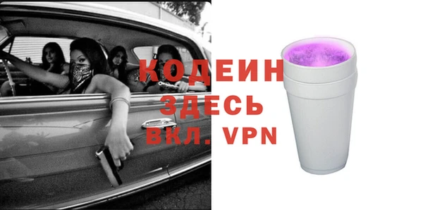 индика Баксан