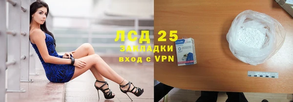 индика Баксан