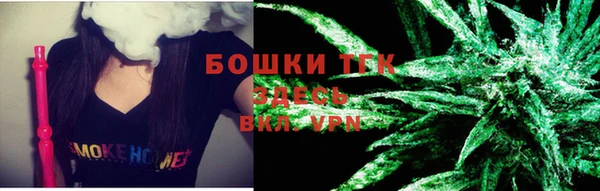 индика Баксан